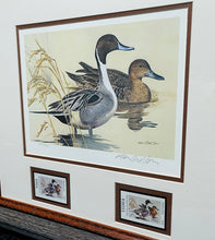 Load image into Gallery viewer, Ken Carlson - 1982 Texas Waterfowl Duck Stamp Print With Double Stamps - Brand New Custom Sporting Frame