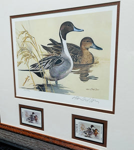 Ken Carlson 1982 Texas Waterfowl Duck Stamp Print With Double Stamps - Brand New Custom Sporting Frame