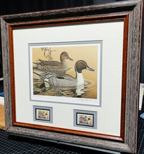 Load image into Gallery viewer, Larry Hayden - 1984 Arkansas Bois D&#39;Arc Pintails Waterfowl Hunting and Conservation Stamp Print With Double Stamps - Brand New Custom Sporting Frame