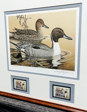 Load image into Gallery viewer, Larry Hayden - 1984 Arkansas Bois D&#39;Arc Pintails Waterfowl Hunting and Conservation Stamp Print With Double Stamps - Brand New Custom Sporting Frame