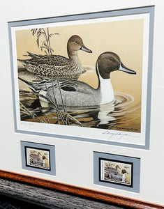 Larry Hayden - 1984 Arkansas Bois D'Arc Pintails Waterfowl Hunting and Conservation Stamp Print With Double Stamps - Brand New Custom Sporting Frame