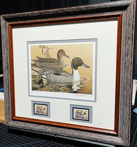 Larry Hayden 1984 Arkansas Waterfowl Hunting And Conservation Stamp Print With Double Stamps - Bois D'Arc - Brand New Custom Sporting Frame
