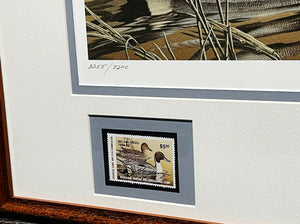 Larry Hayden - 1984 Arkansas Bois D'Arc Pintails Waterfowl Hunting and Conservation Stamp Print With Double Stamps - Brand New Custom Sporting Frame