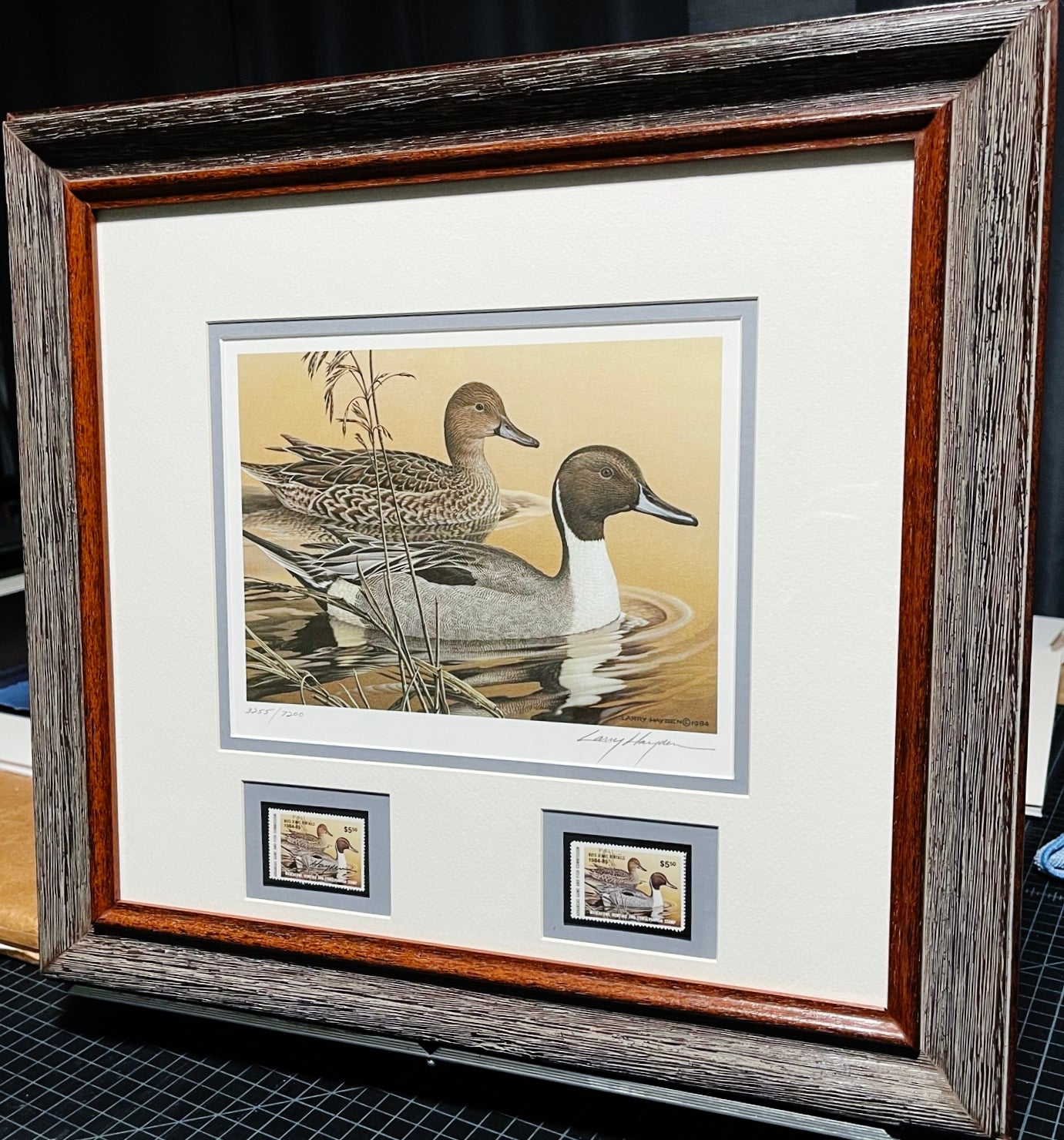Larry Hayden - 1984 Arkansas Bois D'Arc Pintails Waterfowl Hunting and Conservation Stamp Print With Double Stamps - Brand New Custom Sporting Frame