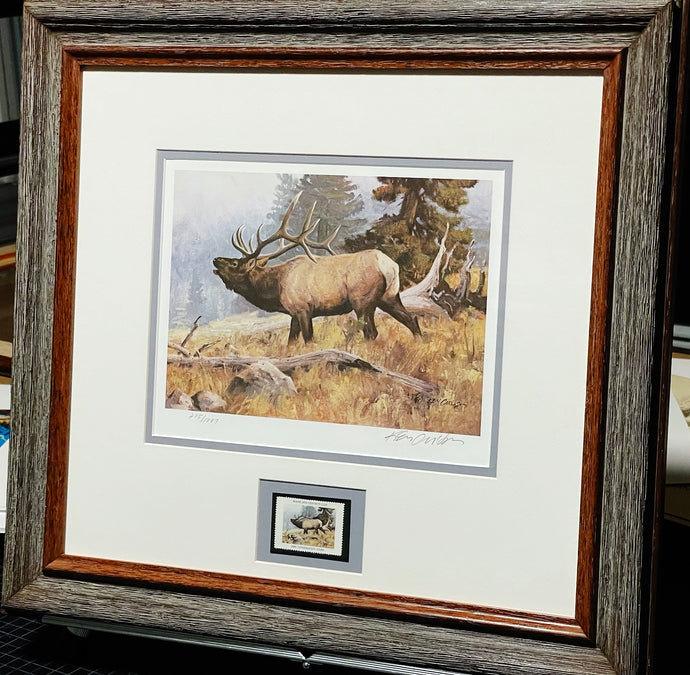 Ken Carlson 1984 Boone And Crockett Club Stamp Print With Stamp - Brand New Super Custom Sporting Frame
