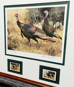 Ken Carlson 1984 Texas Turkey Stamp Print With Double Stamps - First Of Series - Brand New Super Custom Sporting Frame