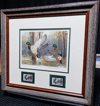 Load image into Gallery viewer, Ken Carlson 1985 Arkansas Waterfowl Hunting And Conservation Stamp Print With Double Stamps - Brand New Custom Sporting Frame