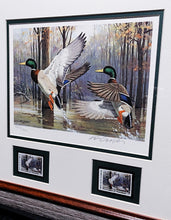 Load image into Gallery viewer, Ken Carlson 1985 Arkansas Waterfowl Hunting And Conservation Stamp Print With Double Stamps - Brand New Custom Sporting Frame
