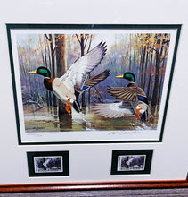 Load image into Gallery viewer, Ken Carlson 1985 Arkansas Waterfowl Hunting And Conservation Stamp Print With Double Stamps - Brand New Super Custom Sporting Frame