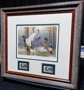 Ken Carlson 1985 Arkansas Waterfowl Hunting And Conservation Stamp Print With Double Stamps - Brand New Custom Sporting Frame