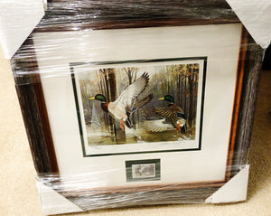 Ken Carlson 1985 Arkansas Waterfowl Hunting And Conservation Duck Stamp Print With Stamp -  Brand New Super Custom Sporting Frame