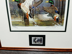 Ken Carlson 1985 Arkansas Waterfowl Hunting And Conservation Duck Stamp Print With Stamp -  Brand New Super Custom Sporting Frame
