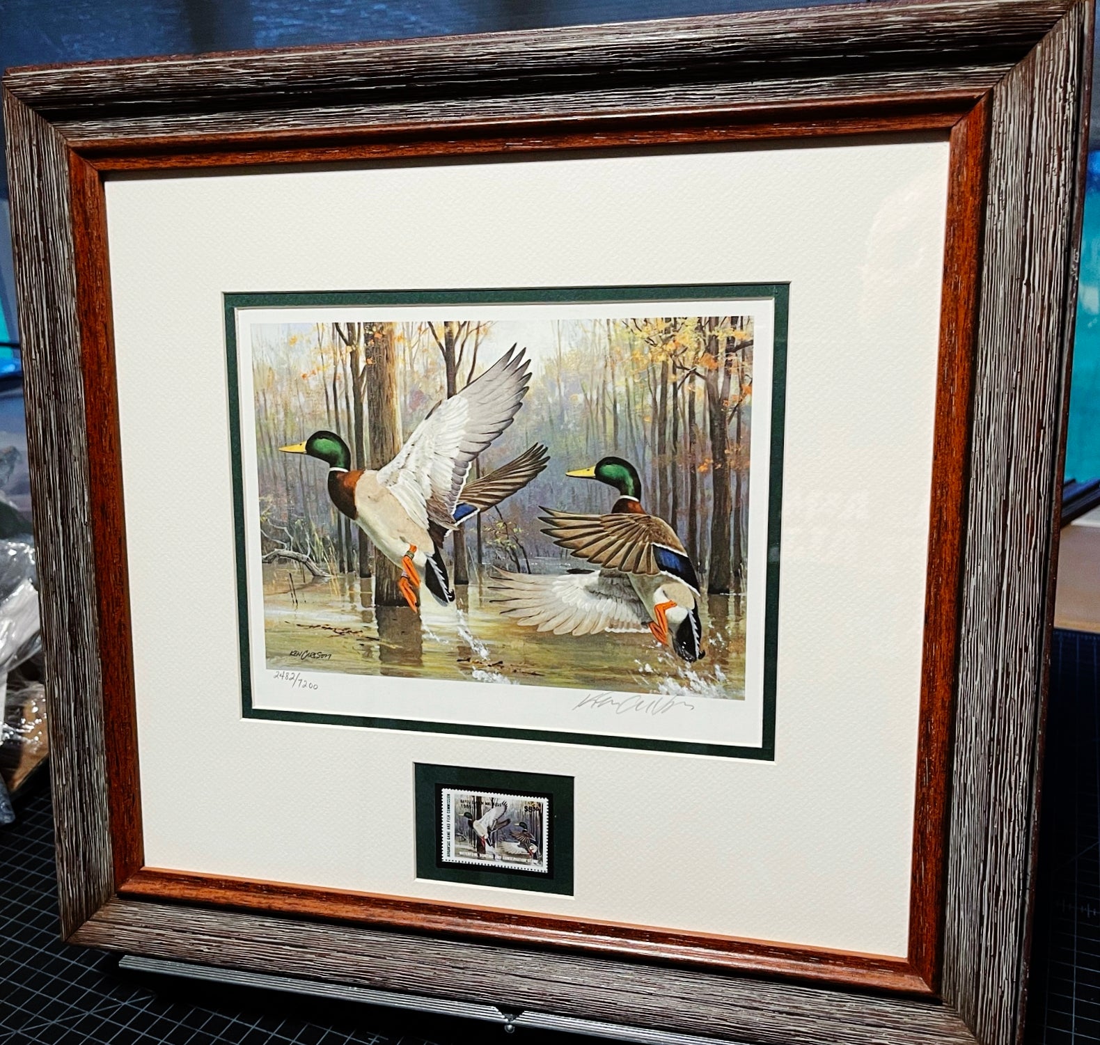 Ken Carlson 1985 Arkansas Waterfowl Hunting And Conservation Duck Stamp Print With Stamp -  Brand New Super Custom Sporting Frame
