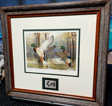Load image into Gallery viewer, Ken Carlson 1985 Arkansas Waterfowl Hunting And Conservation Duck Stamp Print With Stamp -  Brand New Super Custom Sporting Frame