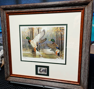 Ken Carlson 1985 Arkansas Waterfowl Hunting And Conservation Duck Stamp Print With Stamp -  Brand New Super Custom Sporting Frame