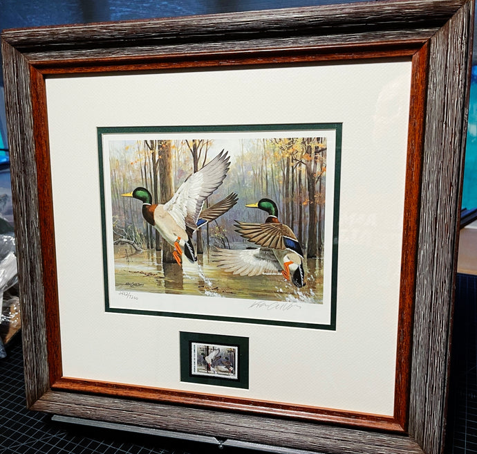 Ken Carlson 1985 Arkansas Waterfowl Hunting And Conservation Duck Stamp Print With Stamp -  Brand New Super Custom Sporting Frame