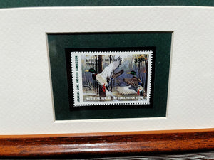 Ken Carlson 1985 Arkansas Waterfowl Hunting And Conservation Duck Stamp Print With Stamp -  Brand New Super Custom Sporting Frame