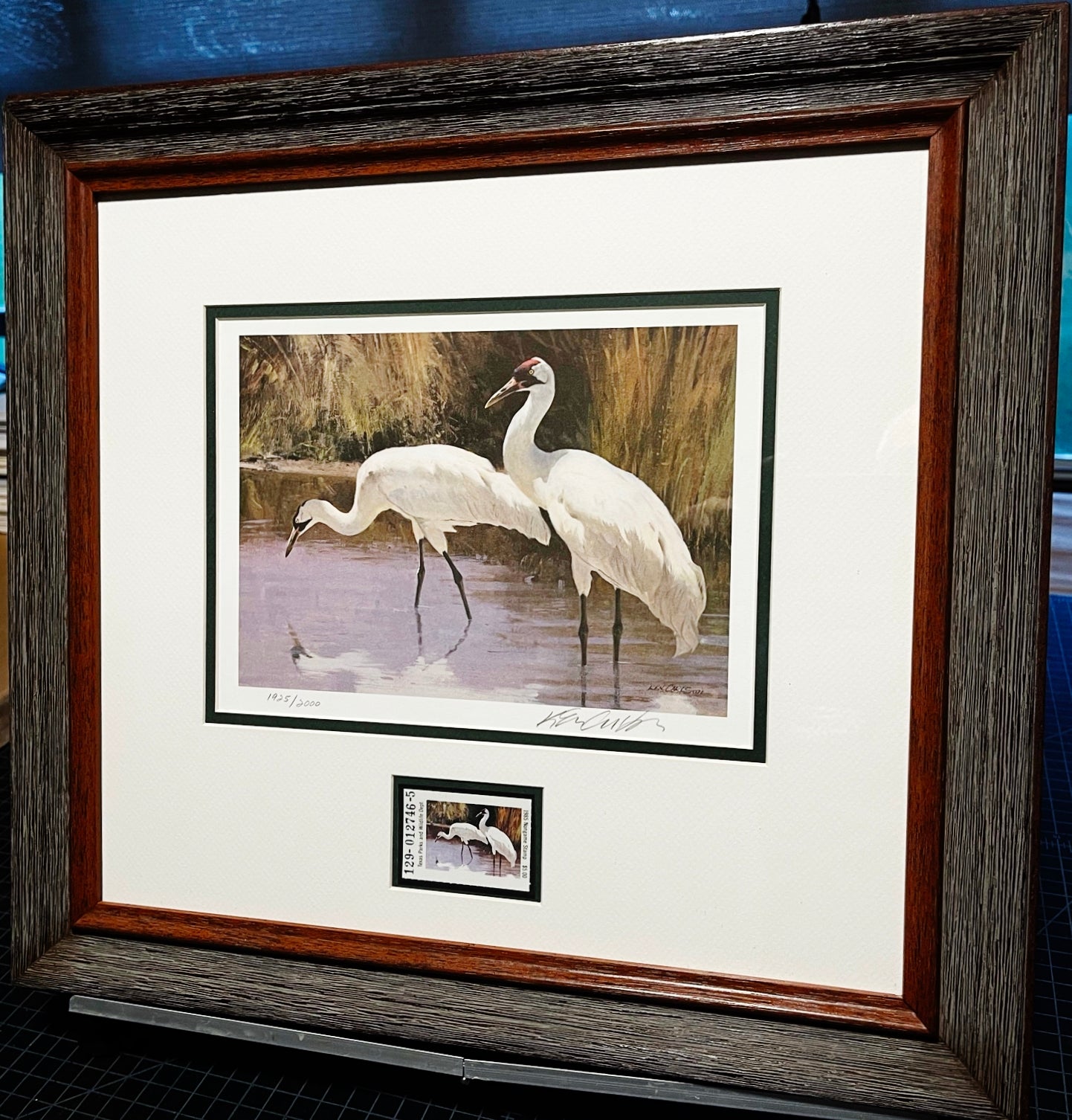 Ken Carlson 1985 Texas Non-Game Stamp Print With Stamp - Brand New Super Custom Sporting Frame