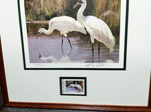 Load image into Gallery viewer, Ken Carlson 1985 Texas Non-Game Stamp Print With Stamp - Brand New Super Custom Sporting Frame