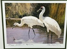 Load image into Gallery viewer, Ken Carlson 1985 Texas Non-Game Medallion Edition Stamp Print With Double Stamps - Brand New Super Custom Sporting Frame