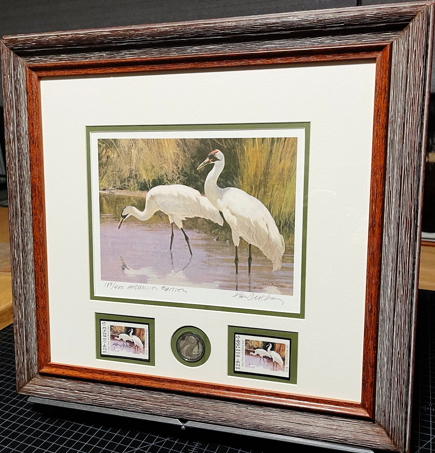 Ken Carlson 1985 Texas Non-Game Medallion Edition Stamp Print With Double Stamps - Brand New Super Custom Sporting Frame