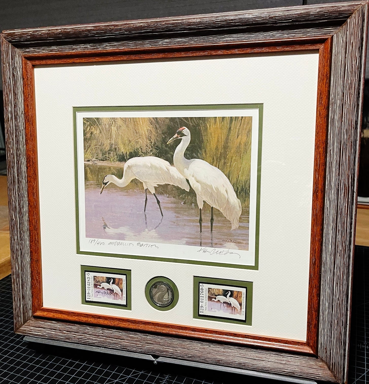 Ken Carlson 1985 Texas Non-Game Medallion Edition Stamp Print With Double Stamps - Brand New Custom Sporting Frame