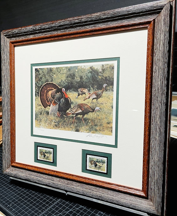 Ken Carlson 1987 Texas Turkey Stamp Print With Double Stamps - Brand New Super Custom Sporting Frame