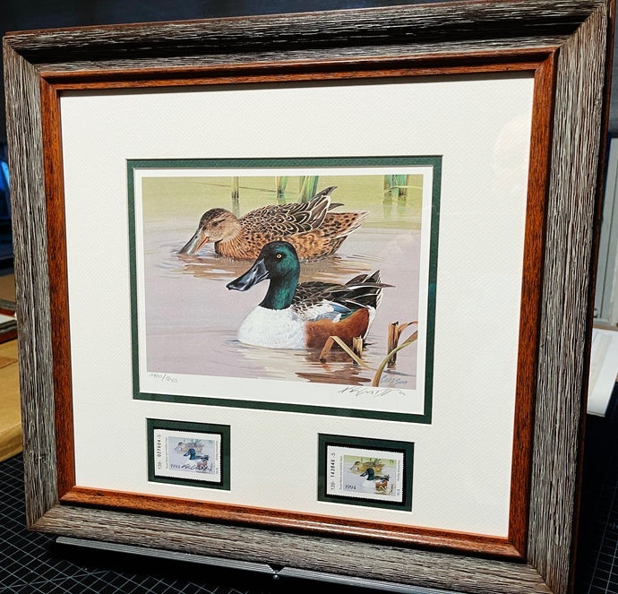 Ken Carlson 1994 Texas Waterfowl Duck Stamp Print With Double Stamps - Brand New Super Custom Sporting Frame
