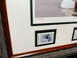 Ken Carlson - 1994 Texas Waterfowl Duck Stamp Print With Stamp - Brand New Custom Sporting Frame