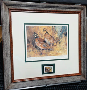 Ken Carlson - 1997 Texas Quail Stamp Print With Stamp - Brand New Custom Sporting Frame
