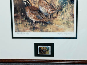 Ken Carlson - 1997 Texas Quail Stamp Print With Stamp - Brand New Custom Sporting Frame