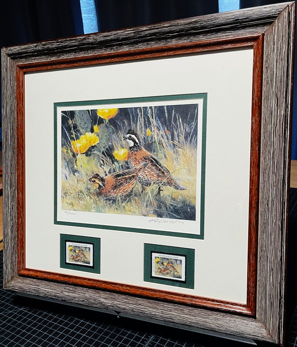 Ken Carlson - 2005 Texas Quail Stamp Print With Double Stamps - Brand New Custom Sporting Frame