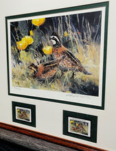 Load image into Gallery viewer, Ken Carlson - 2005 Texas Quail Stamp Print With Double Stamps - Brand New Custom Sporting Frame