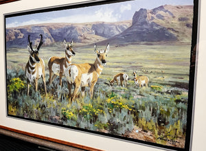 Ken Carlson - High Desert Antelope - FS GiClee - Brand New Custom Sporting Frame