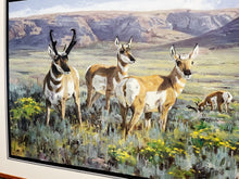 Load image into Gallery viewer, Ken Carlson High Plains Pronghorn GiClee Full Sheet - Brand New Custom Sporting Frame