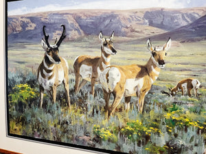 Ken Carlson - High Desert Antelope - FS GiClee - Brand New Custom Sporting Frame