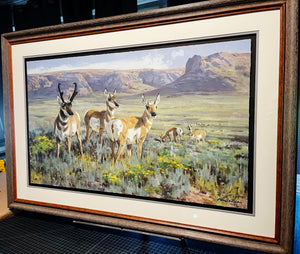 Ken Carlson - High Desert Antelope - FS GiClee - Brand New Custom Sporting Frame