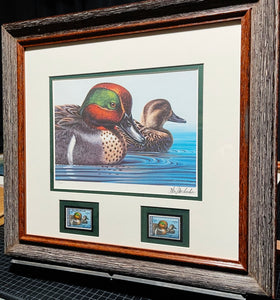 Ken Michaelson - 1979 Federal Migratory Duck Stamp Print With Double Stamps - Brand New Custom Sporting Frame