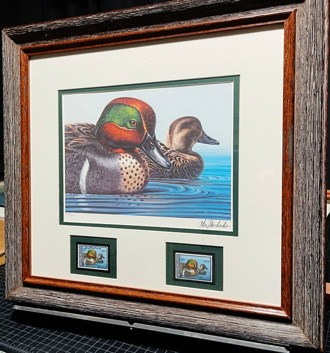 Ken Michaelson 1979 Federal Migratory Duck Stamp Print With Double Stamps - Brand New Super Custom Sporting Frame