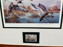 Load image into Gallery viewer, Harry Adamson - 1989 Ducks Unlimited Stamp Print With Stamp - Brand New Custom Sporting Frame
