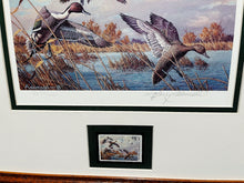 Load image into Gallery viewer, Harry Adamson 1989 Ducks Unlimited Stamp Print With Stamp - Brand New Custom Sporting Frame