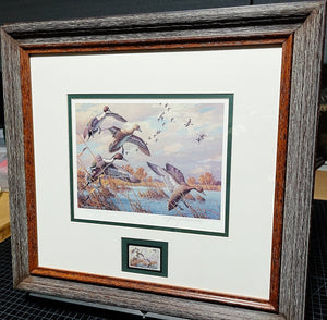 Harry Adamson 1989 Ducks Unlimited Stamp Print With Stamp - Brand New Custom Sporting Frame