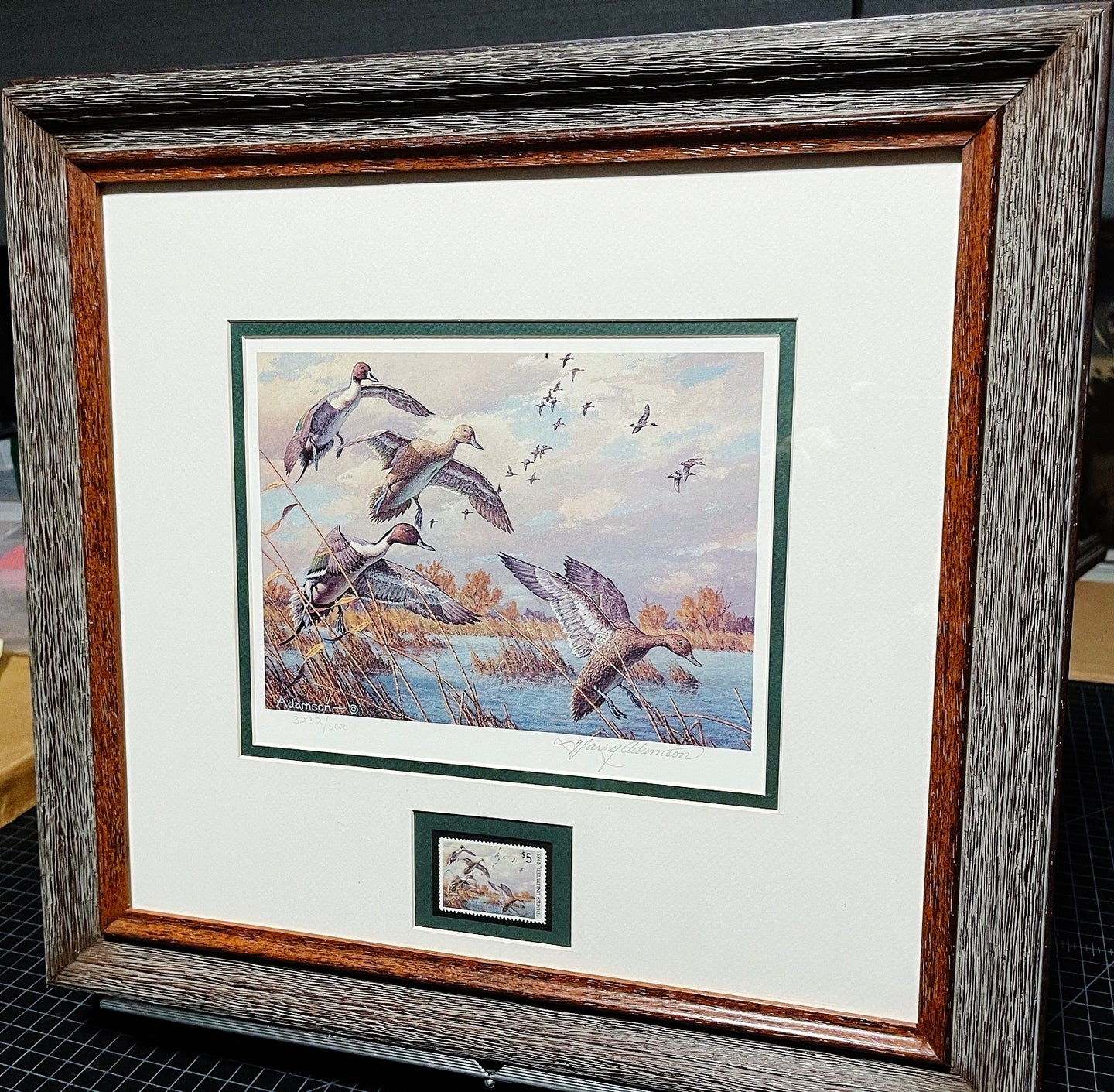 Harry Adamson - 1989 Ducks Unlimited Stamp Print With Stamp - Brand New Custom Sporting Frame