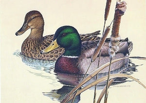 Larry Hayden - 1981 First of State Texas Waterfowl Duck Stamp Print With Double Stamps - Brand New Custom Sporting Frame