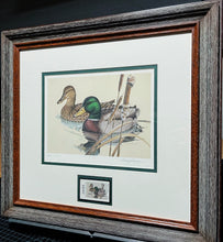Load image into Gallery viewer, Larry Hayden - 1981 Texas Waterfowl Duck Stamp Print With Stamp - Brand New Custom Sporting Frame  ***  WINTER SPECIAL  ***