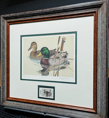 Larry Hayden 1981 Texas Waterfowl Duck Stamp Print With Stamp - Brand New Custom Sporting Frame  ***  SPRING SPECIAL  ***