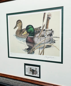 Larry Hayden 1981 Texas Waterfowl Duck Stamp Print With Stamp - Brand New Custom Sporting Frame  ***  WINTER SPECIAL  ***