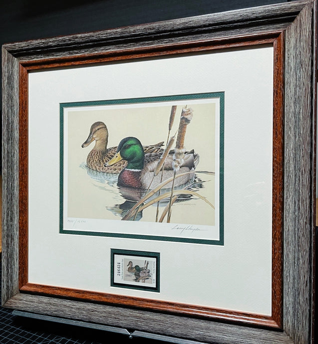 Larry Hayden 1981 Texas Waterfowl Duck Stamp Print With Stamp - Brand New Custom Sporting Frame  ***  WINTER SPECIAL  ***