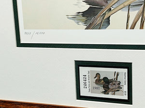 Larry Hayden - 1981 Texas Waterfowl Duck Stamp Print With Stamp - Brand New Custom Sporting Frame  ***  FALL SPECIAL  ***