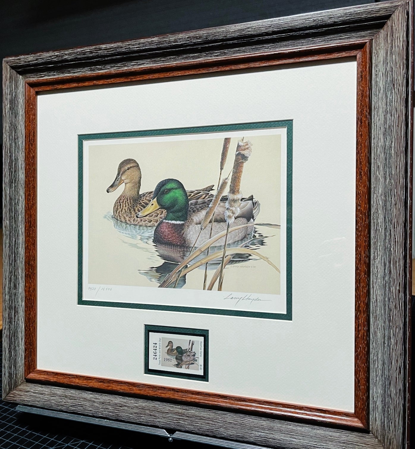 Larry Hayden - 1981 Texas Waterfowl Duck Stamp Print With Stamp - Brand New Custom Sporting Frame  ***  WINTER SPECIAL  ***